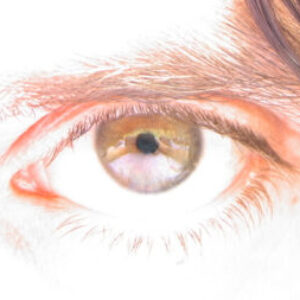 Profile photo of Gert Tz