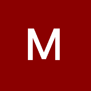 Profile photo of Mikel Irastortza