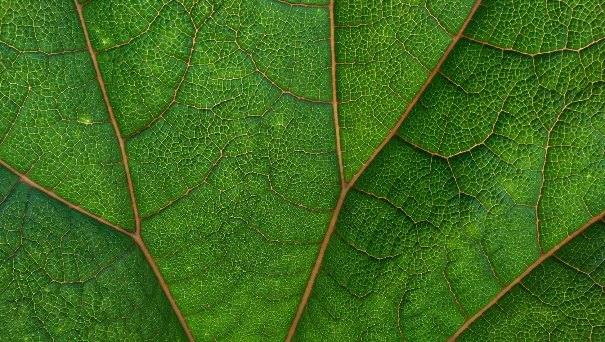 Group cover image